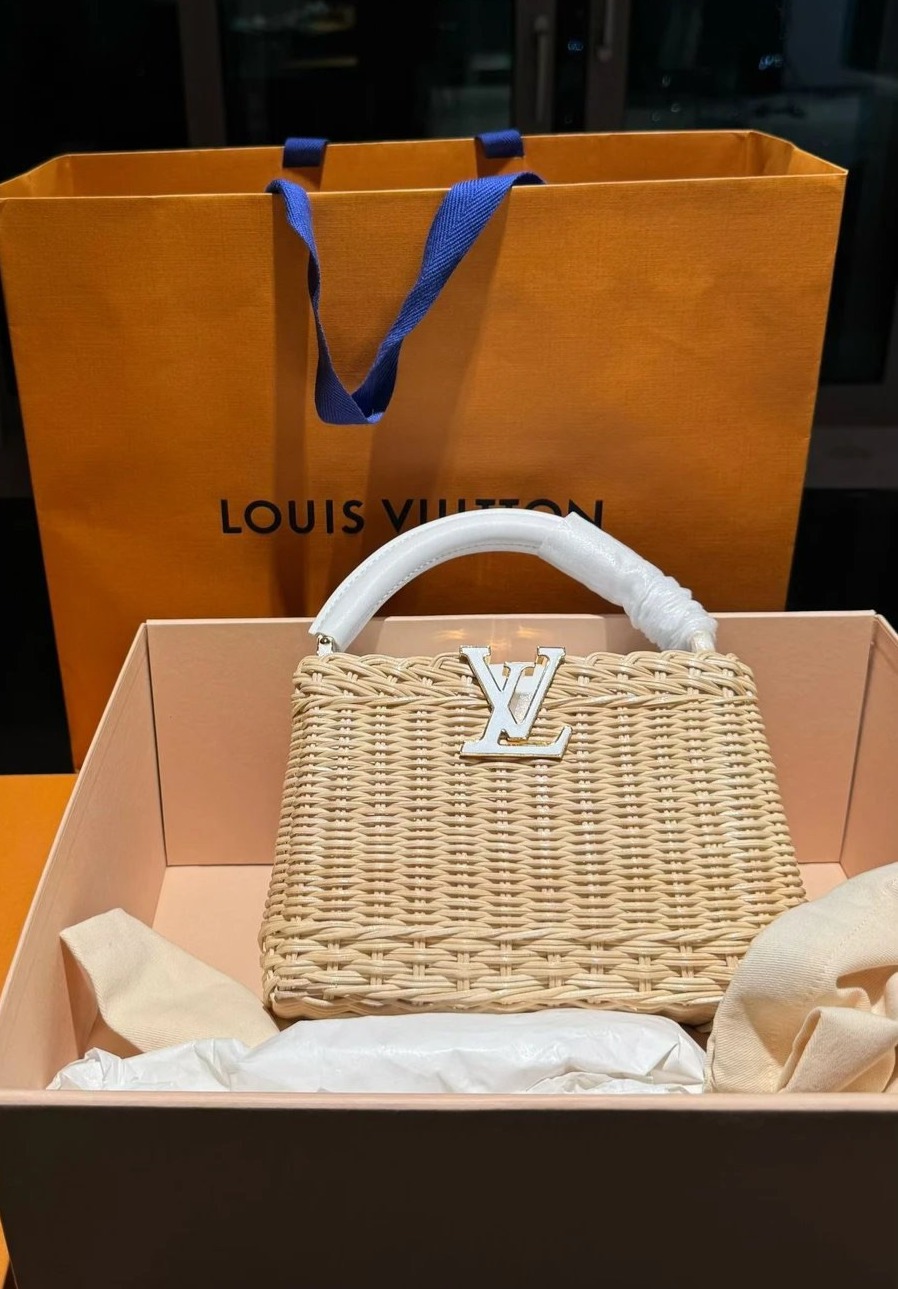 LOUIS VUITTON Speedy 25